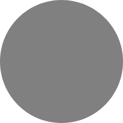 dark-gray-circle